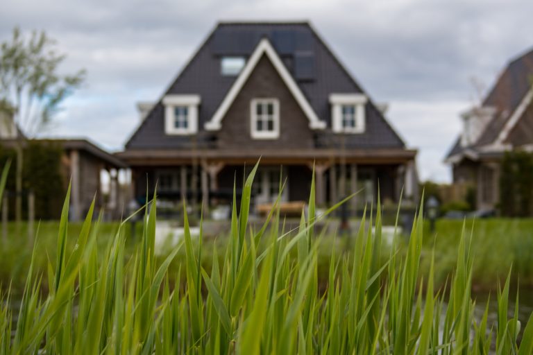 Grass with house in the background